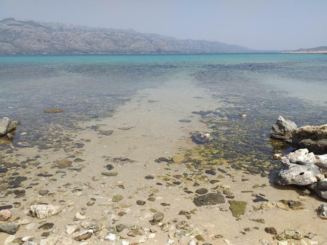 Oaza Daire Ražanac Dış mekan fotoğraf